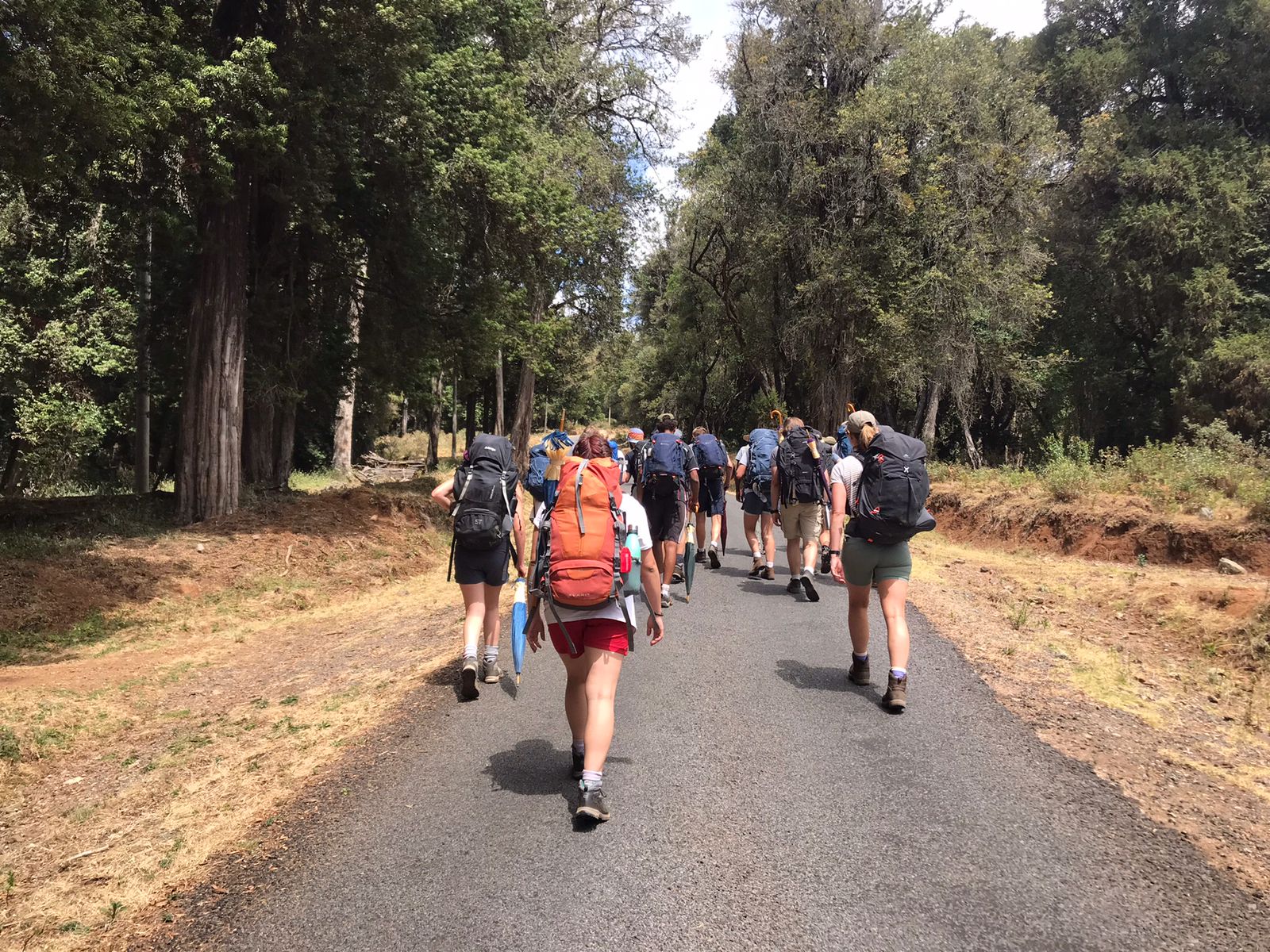 The Ultimate Guide to Mount Kenya Hiking Costs: Pricing Breakdown and Insights