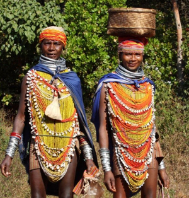 Experience the Rich Cultural Heritage Tours in Odisha with OD Travels
